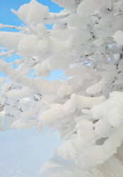 Similar image 21100504