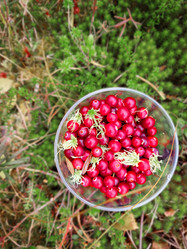 Similar image 21100514