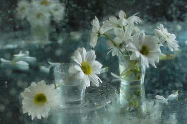 Similar image 21090178