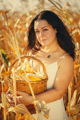 Similar image 21094291