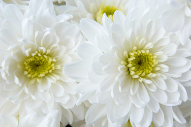 Similar image 21128157