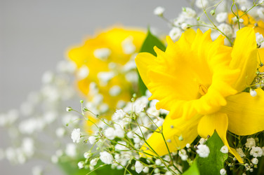 Similar image 21128160