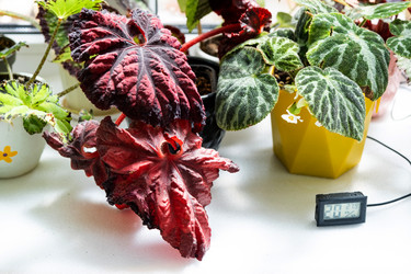 Similar image 21086170