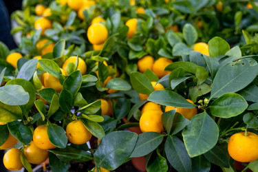 Similar image 21086171