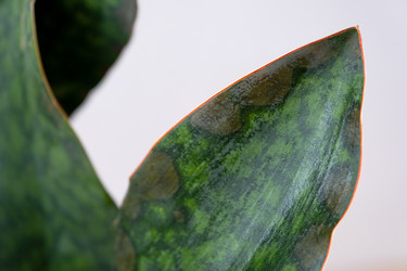 Similar image 21086172