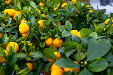 Similar image 21086173