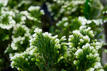 Similar image 21086175