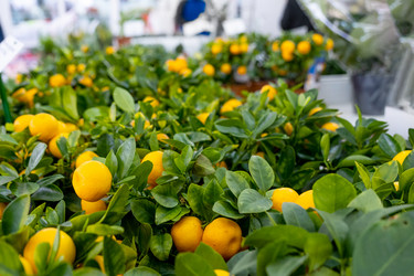 Similar image 21086177