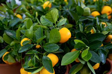 Similar image 21086181