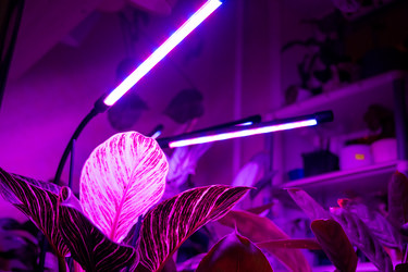 Similar image 21086189