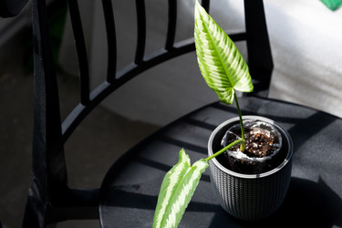 Similar image 21086192