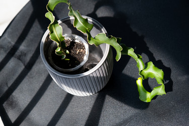 Similar image 21086194