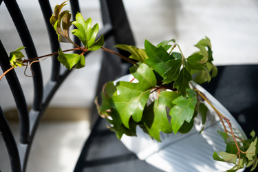 Similar image 21086202