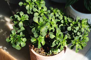 Similar image 21086208