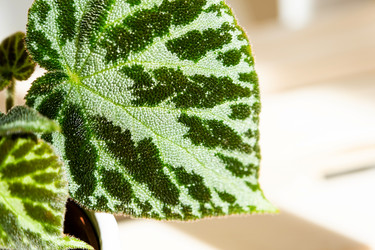 Similar image 21086209