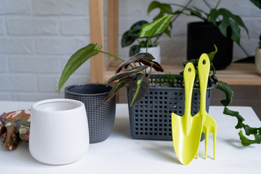 Similar image 21086214