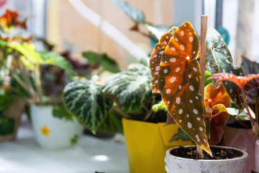 Similar image 21086218