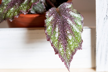 Similar image 21086219