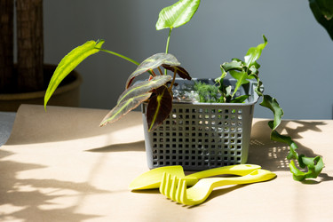 Similar image 21086220