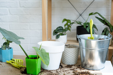 Similar image 21086233