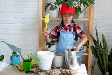 Similar image 21086239