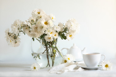 Similar image 21112442