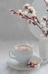 Similar image 21096666