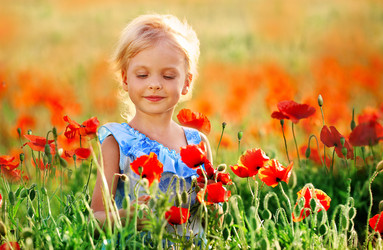 Similar image 21090188