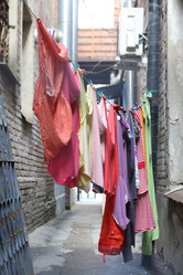 Similar image 21090745