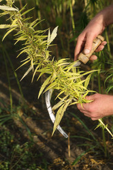 Similar image 21090751