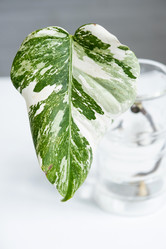 Similar image 21086389