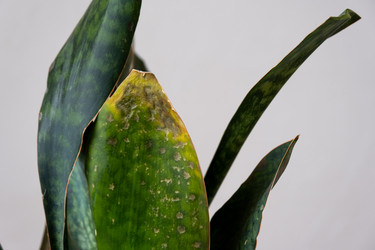 Similar image 21086392