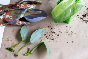 Similar image 21086110