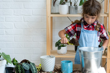 Similar image 21086115