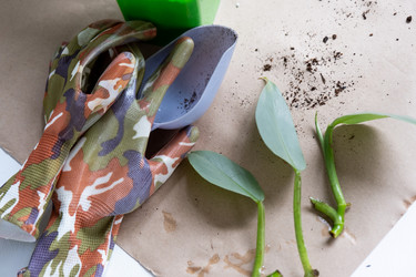 Similar image 21086116