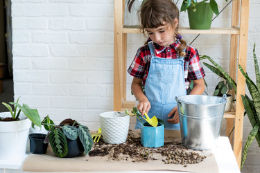 Similar image 21086120