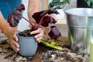 Similar image 21086261