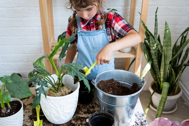 Similar image 21086267