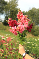 Similar image 21088121