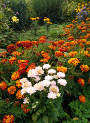 Similar image 21085454