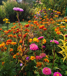 Similar image 21085455