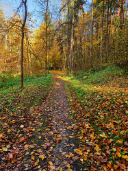 Similar image 21085456