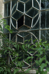 Similar image 21090219