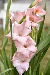 Similar image 21083961