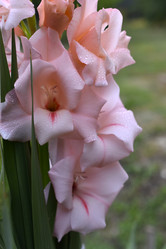 Similar image 21083962