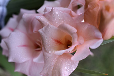 Similar image 21083963