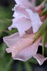 Similar image 21083964