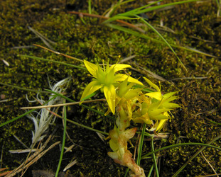 Similar image 21083903