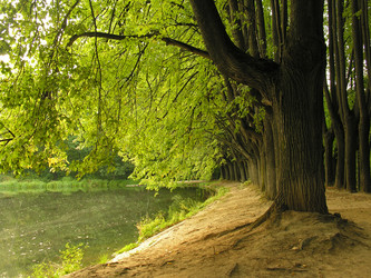 Similar image 21083904