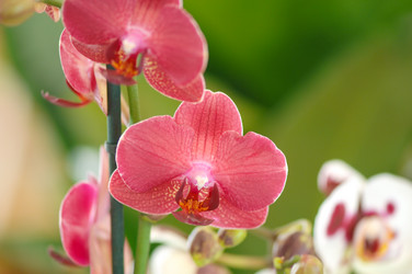 Similar image 21128940